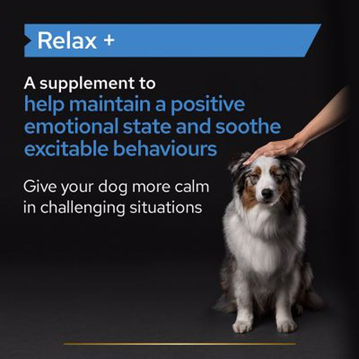 PRO PLAN Συμπλήρωμα Διατροφής Dog Adult Relax Supplement 250ml PRO PLAN Sumpliroma Diatrofis Dog Adult Relax Supplement 250ml